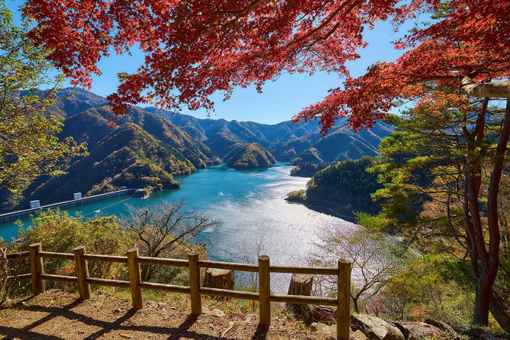 東京多摩地區大自然環抱的奥多摩湖,到了秋季周邊染上楓紅,景色更是迷人。(ⒸTCVB)