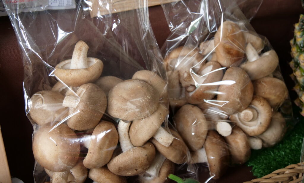 彰化為菇類重要栽培的縣市