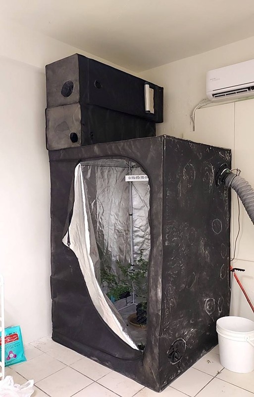 | 社會 社會 記者爆料網