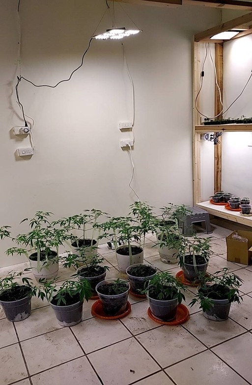 | 社會 社會 記者爆料網