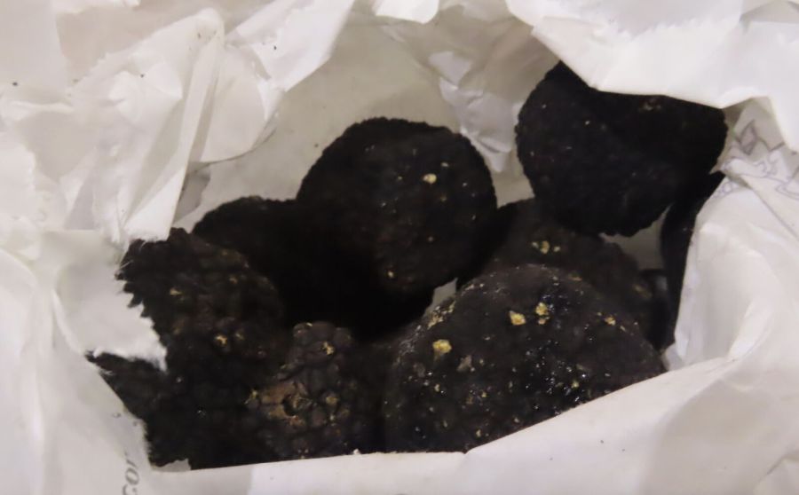 進口食品連環爆!義大利又2批「黑松露」鎘超標 印尼「鯊魚片」有甲基汞 300 進口食品連環爆!義大利又2批「黑松露」鎘超標 印尼「鯊魚片」有甲基汞 299