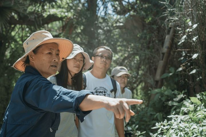 工作假期開放報名中 在花蓮青陽打造友善生命的家