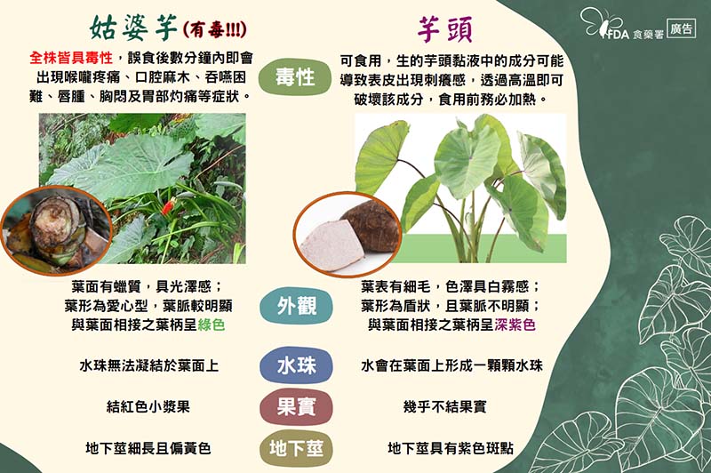 圖／食藥署