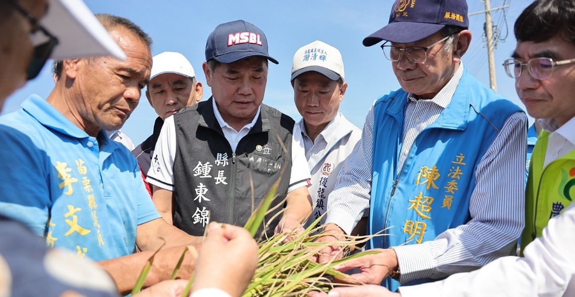 小犬颱風後龍地區稻米、黑豆災損 陳超明與苗縣府成功爭取農糧署專案協助