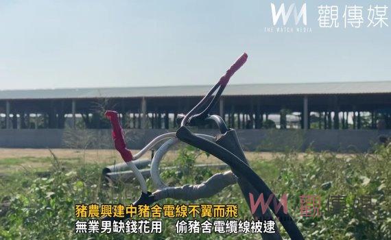 影／豬農興建中豬舍電線不翼而飛　警方清查破獲起出電纜線一批