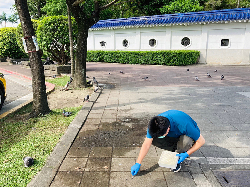 圖/動保處提供