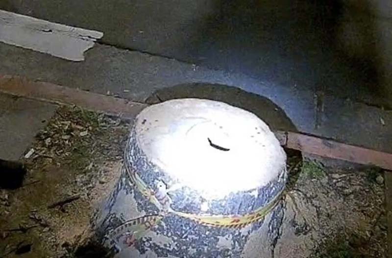 圖/翻攝畫面