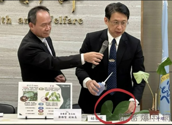 食藥署衛教別誤食「姑婆芋」卻拿千年芋示範 網友抓包虧傻傻分不清 74 圖片來源 爆料公社臉書
