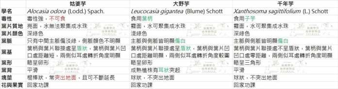 食藥署衛教別誤食「姑婆芋」卻拿千年芋示範 網友抓包虧傻傻分不清 73 1 11 | 生活 生活 記者爆料網