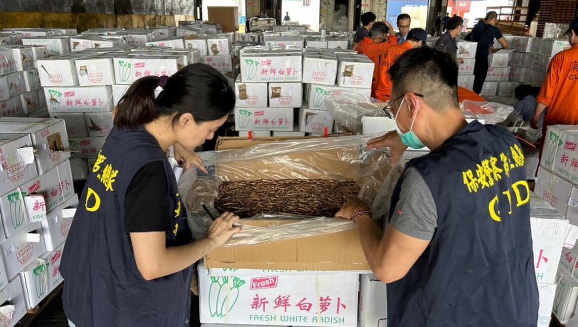 貨櫃箱中箱闖關 保三警攔阻中國劣質農產品入境