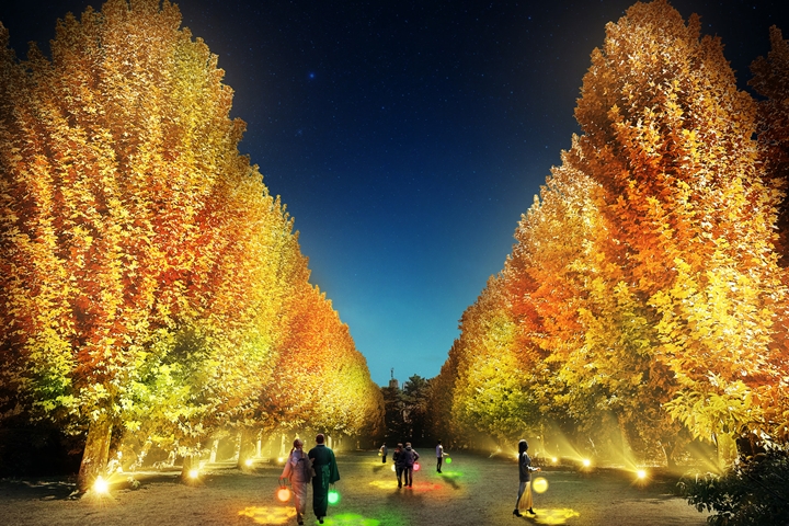 快來感受浪漫東京秋夜!NAKED紅葉新宿御苑11/22揭幕