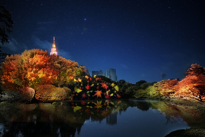 快來感受浪漫東京秋夜!NAKED紅葉新宿御苑11/22揭幕