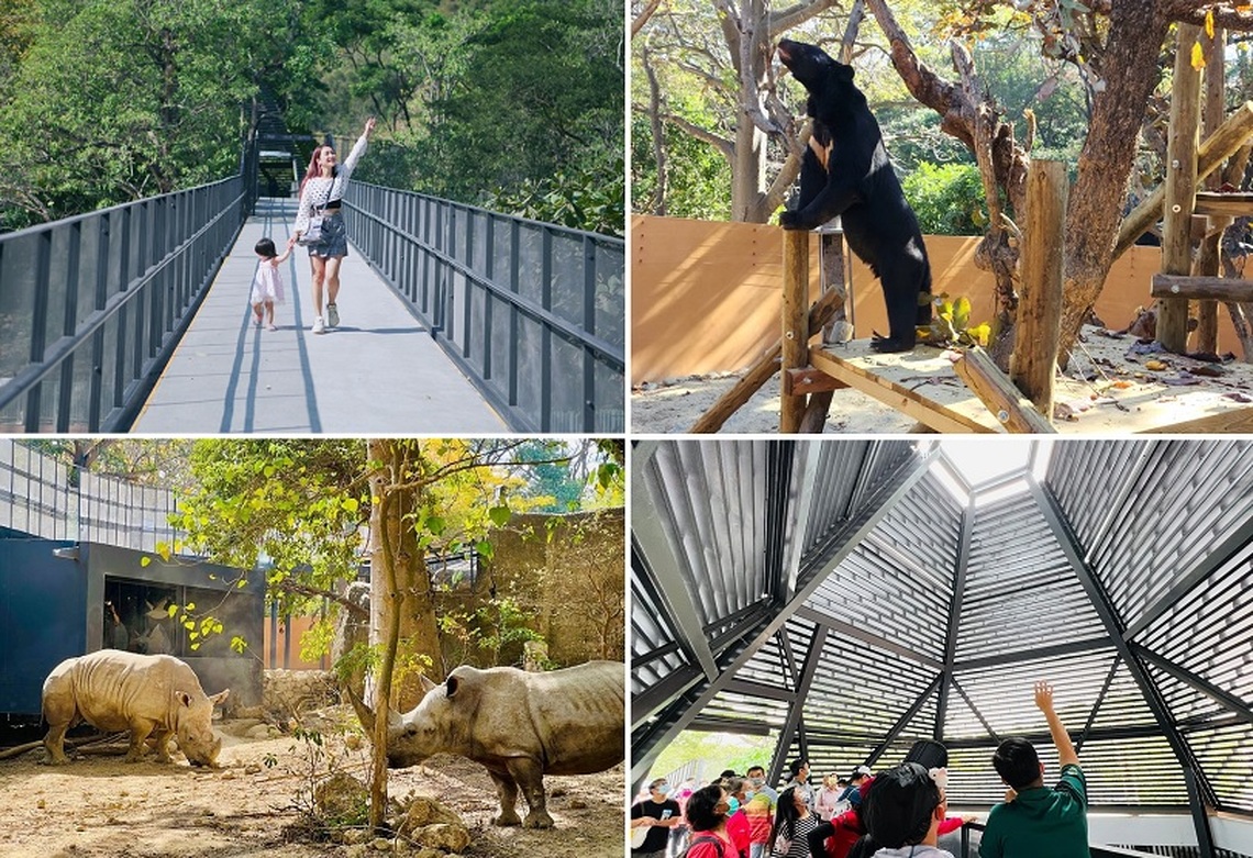 捷報！壽山動物園榮獲「台灣建築獎」首獎  評審肯定：使人與動物的關係更接近