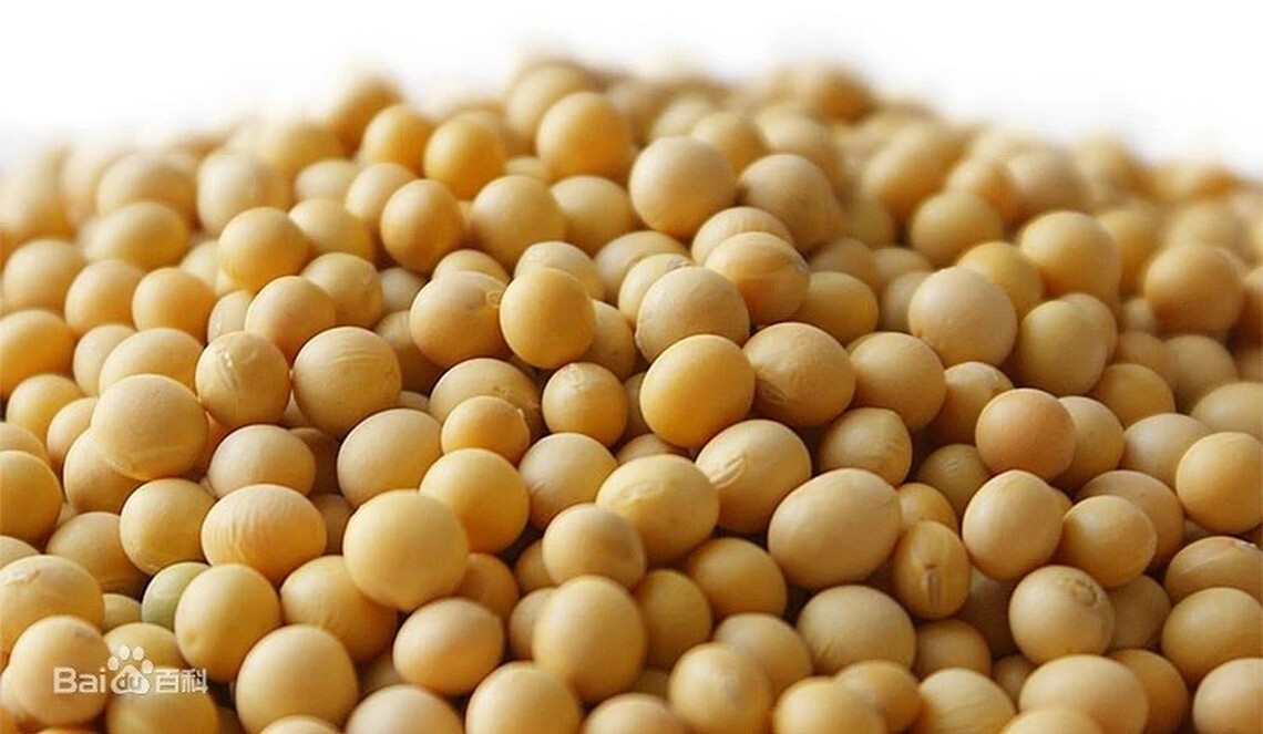 南非大豆完成首次向中國出口任務