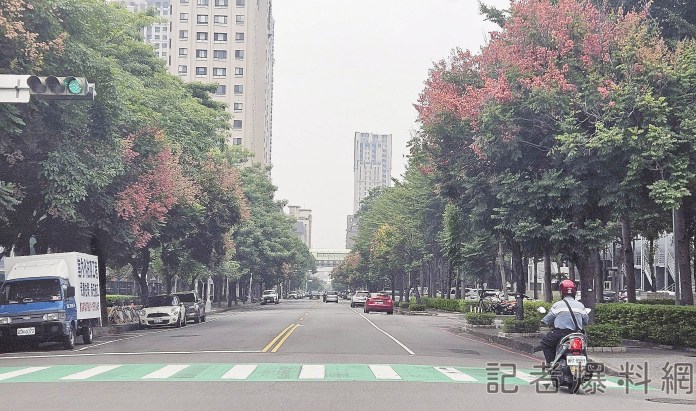 台灣欒樹樹液滴滿車 車主「車簡直像是被毀容」 73 1 14 | 生活 生活 記者爆料網