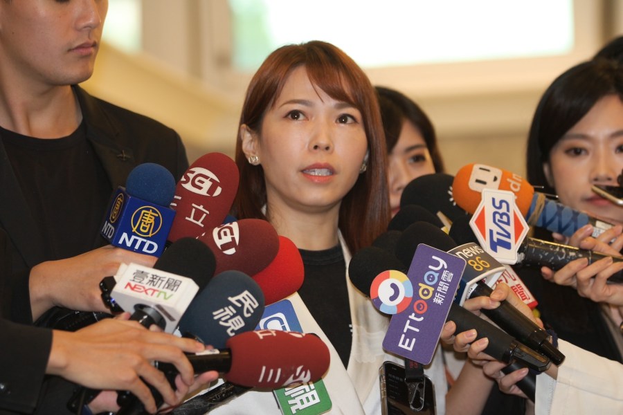 徐春鶯不是謝立功引薦不分區 陳智菡：算是廣義的海選 319
