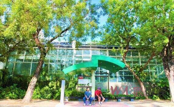 中市特色候車亭獲好評!科博館「植物園西屯站」新亮相