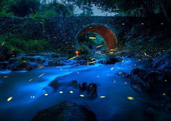 ©張煒(中國) 《古橋夜色》丨HUAWEI P40丨「好影像不怕晚」組別獲獎者 ©張煒(中國) 《古橋夜色》丨HUAWEI P40丨「好影像不怕晚」組別獲獎者