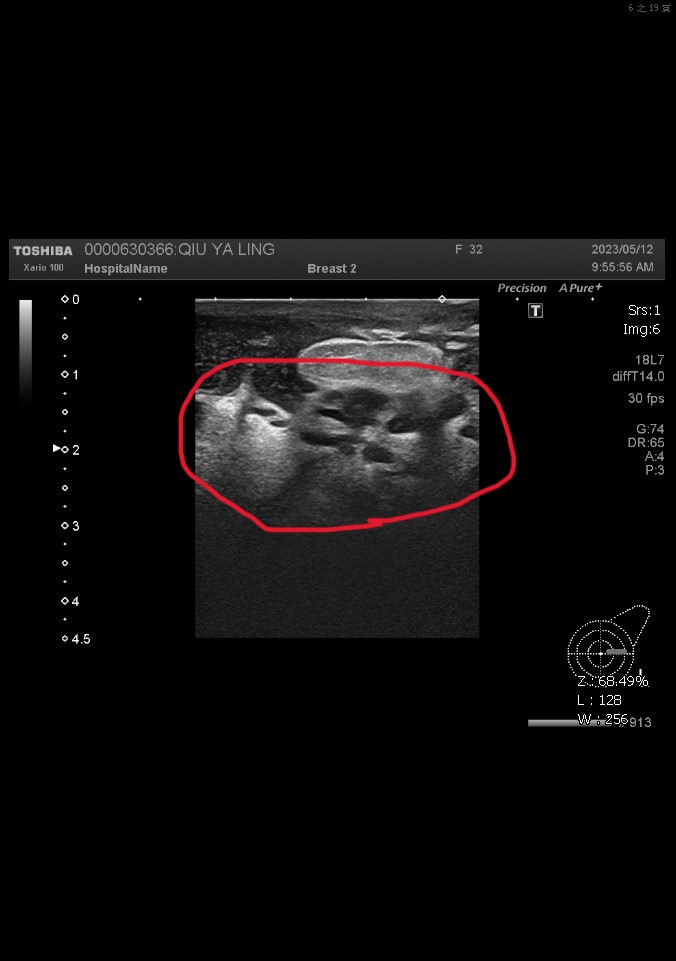 202311061951014dxS