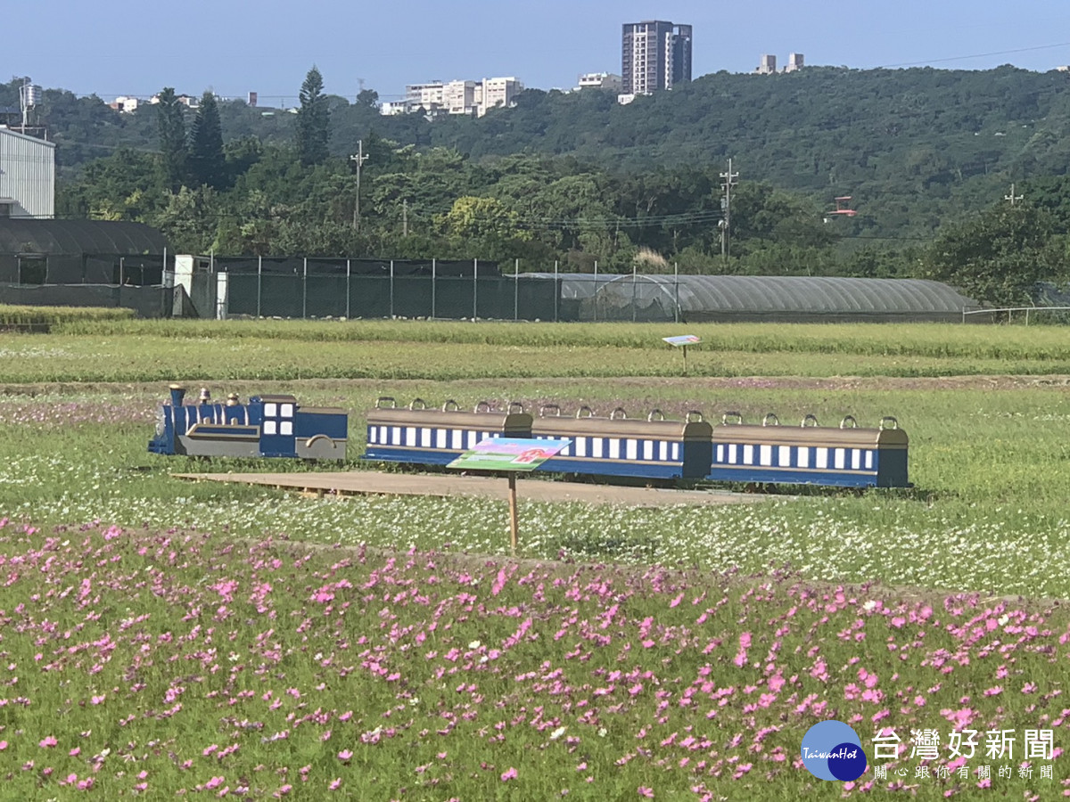 桃園花彩節大溪月眉登場。<br /><br />
