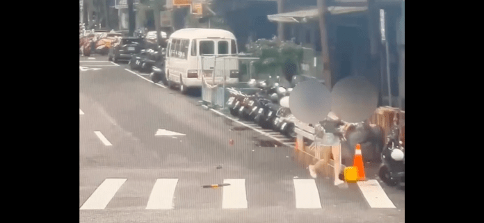 懷疑被人頭上種草 莽男撞進別人家一路追打到街頭 67 img 1811 1 | 社會 社會 記者爆料網
