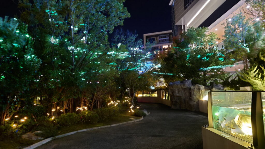 漫步叢林夜間螢光再現，星光下感受冬季浪漫氛