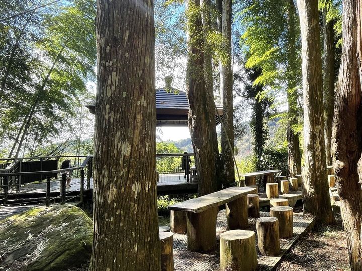 茶園步道正當紅!「嘉義行旅.覓茶香」短影音流量破百萬
