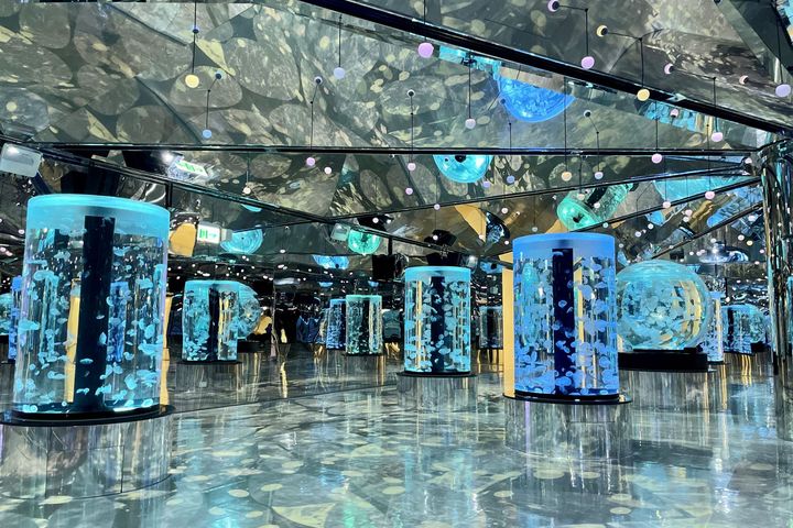 浪漫冬季限定版,看水母化身海中之雪翩翩起舞。 圖:台灣横浜八景島股份有限公司『Xpark』營業部/提供