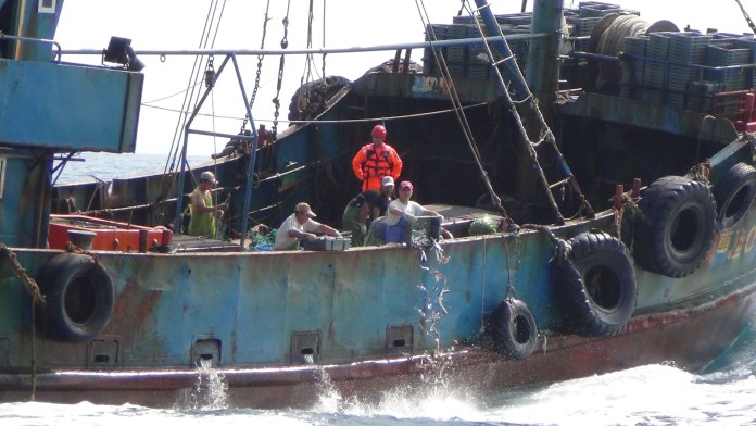陸籍船通霄外海越界捕250公斤漁獲 蛇行拒檢船上13人被帶回 70 S 216514598 | 社會 社會 記者爆料網
