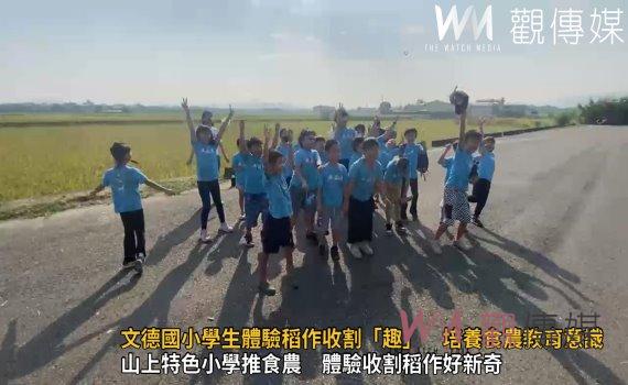 (有影片)/文德國小學生體驗稻作收割「趣」 培養食農教育意識