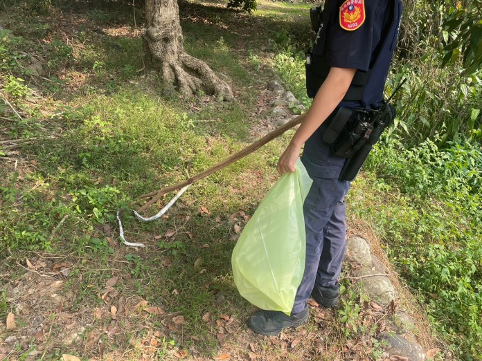 樹枝上有蛇! 女警發現是死蛇化解民眾驚嚇 60 | 社會 社會 記者爆料網