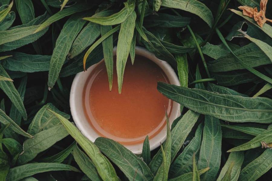 【投書】劣質大陸茶 偽冒台灣茶 210 【投書】劣質大陸茶 偽冒台灣茶 209