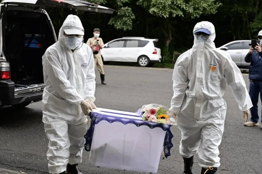 狒狒叛逃之亂 指示開槍農業局技工起訴獵人不起訴 206 狒狒叛逃之亂 指示開槍農業局技工起訴獵人不起訴 205