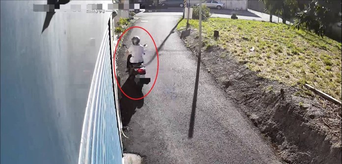 (有片)為了區區一小把九層塔! 婦人路過民宅順手偷摘竊盜罪送辦 64 | 社會 社會 記者爆料網