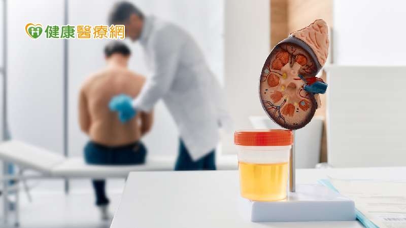 「微量蛋白尿」是腎受損指標! 高齡長者患2疾病易有風險切勿輕忽