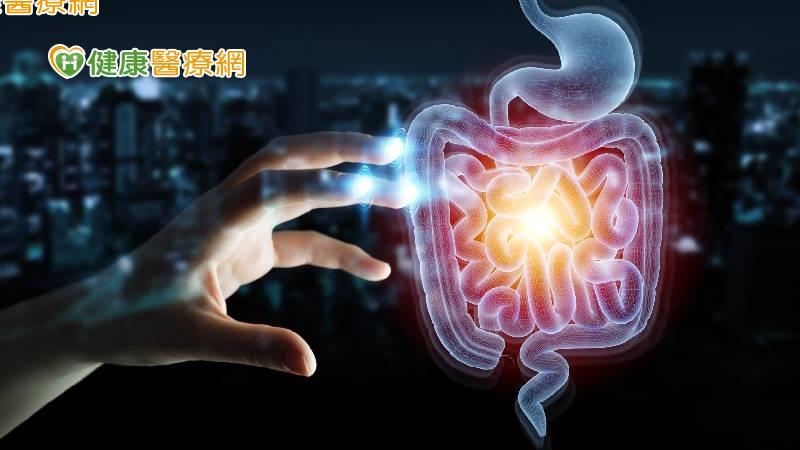 腸道菌竟影響大腦功能! 如何透過飲食預防腸癌與流感?