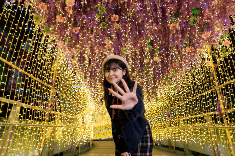 圖/「紫藤精靈光廊」以花花世界的元素營造耶誕浪漫氛圍。(圖/新北市政府觀光旅遊局提供)