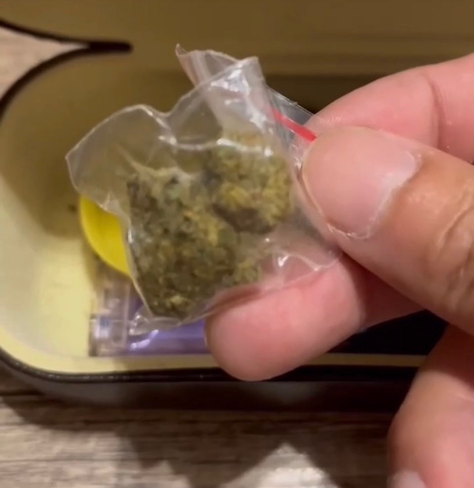 第二級毒品大麻。（圖/記者江雁武翻攝）