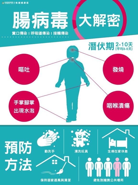 腸病毒大解密（圖：衛福部疾管署）