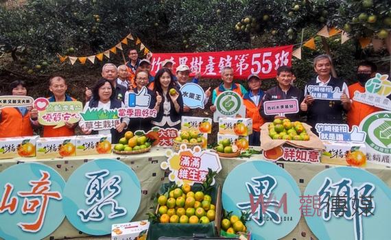 竹崎特產柑橘由青綠轉橙黃 農會輔導增進品質推廣行銷
