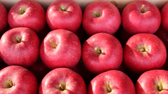 青森弘前特選蘋果來台展售(弘前中央青果株式會社提供)
