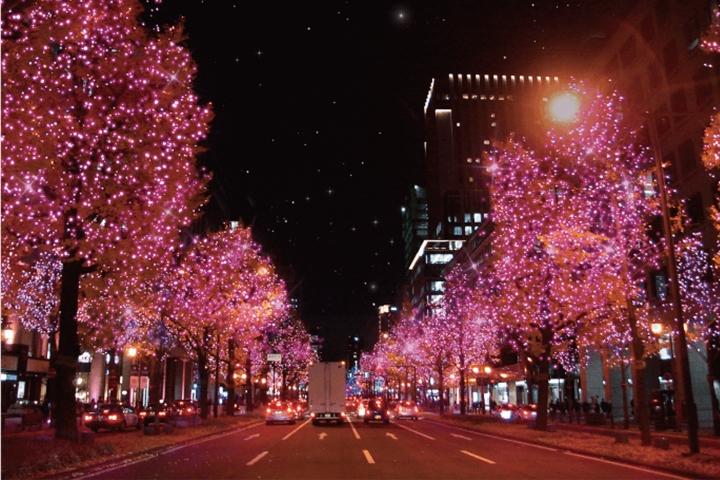 冬遊大阪最浪漫之夜!大阪・光之饗宴點燈秀盛大登場