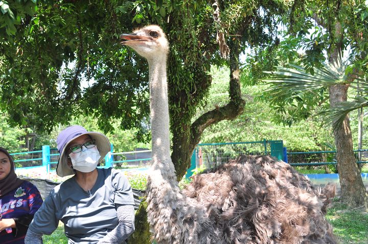走訪馬來西亞柔佛、森美蘭、馬六甲 交通便利可搭配新加坡雙國遊