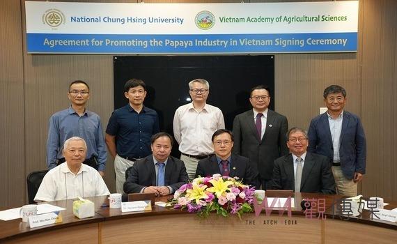 臺灣農技輸出!興大協助越南建立亞洲木瓜王國