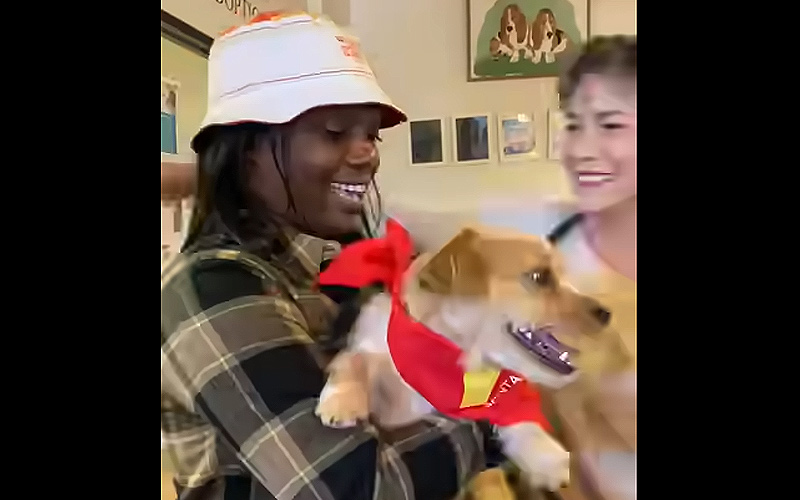 (圖/取自Santa Fe Animal Shelter & Humane Society臉書)