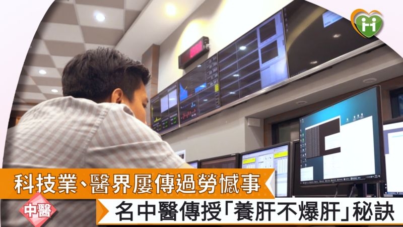 科技業、醫界屢傳過勞憾事 名中醫傳授「養肝不爆肝」秘訣 