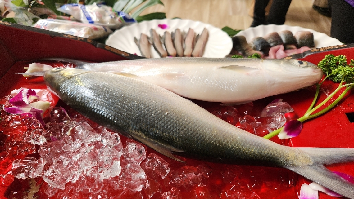 嘉義縣布袋鎮虱目魚嘉年華「海派嘉鄉味」千人饗宴強勢回歸26日在高跟鞋教堂重磅登場