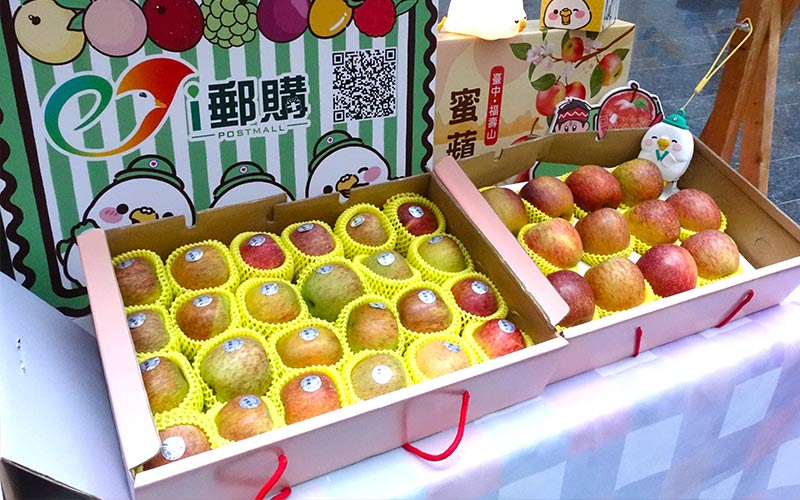 (圖／取自台中市和平區公所)