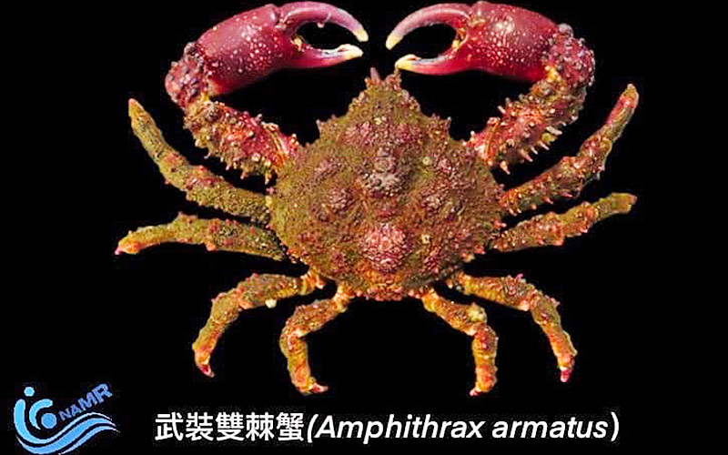 (圖/取自國家海洋研究院)