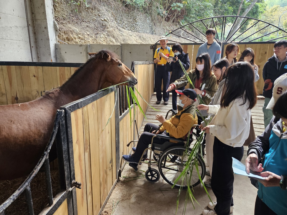 馬匹治療 - 讓參觀馬場,陪伴行動不便老人與馬匹互動